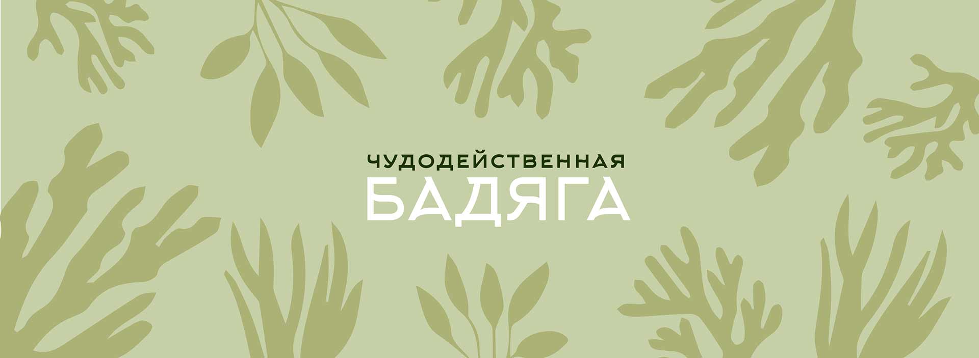 ГЕЛИ ДЛЯ ЛИЦА и ТЕЛА БАДЯГА с экстрактами растений | Витамин Продукт